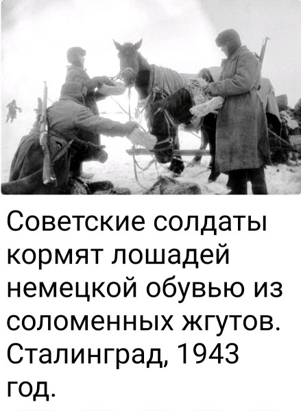 Screenshot_2023-09-06-19-46-29-355-edit_org.telegram.messenger.jpg