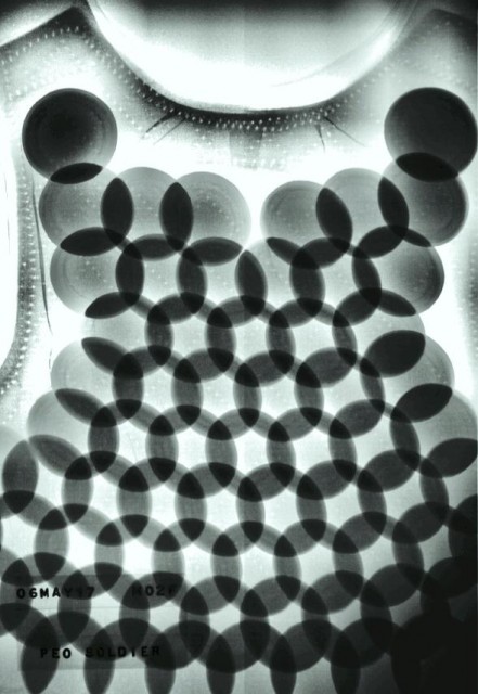 PEO_soldier_Dragonskin.jpg (65.25 KiB) Zobrazeno 21752 x PEO_soldier_Dragonskin.jpg